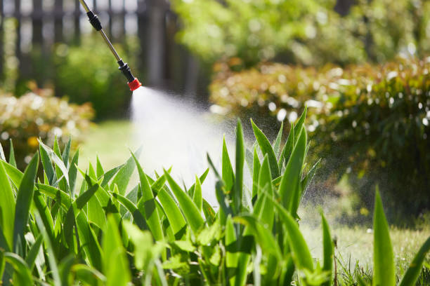 Tamper-Resistant Bait Stations for Rodents in Cascade