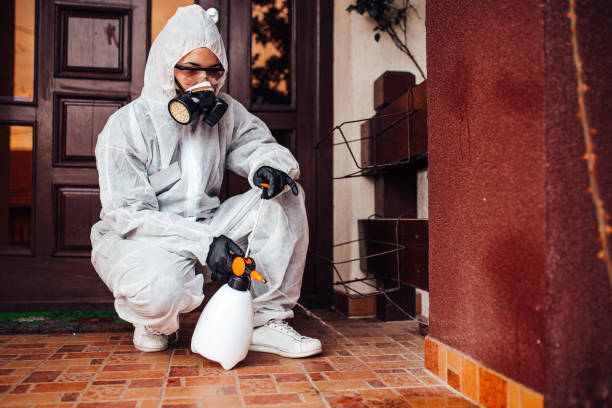 Attic and Crawl Space Rodent Treatment in Cascade